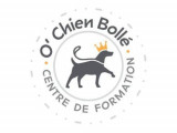 O'Chien Bollé