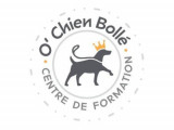O'Chien Bollé