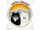 Tweed Lenissei