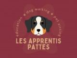 Les Apprentis Pattes