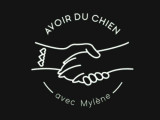 Avoir du chien