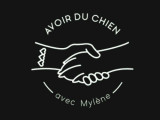 Avoir du chien