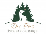 Des Pins