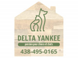 Delta Yankee
