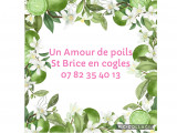 Un Amour De Poils
