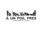A un Poil Près