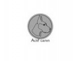 Actif Canin