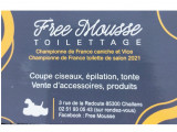 Free Mousse