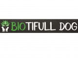 Biotifful Dog