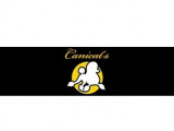 Canicat S