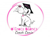 O'Crocs Blancs