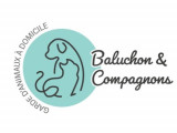 Baluchon & Compagnons