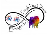 Du Temple Des Ours