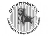 Of Staffy Pianottoli