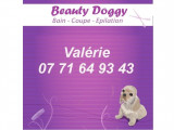 Beauty Doggy