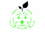 Pomme Blanche