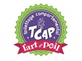 L'Art au Poil