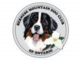 Bernese Mountain Dog Club of Ontario