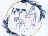 La Ferme du Mas d’Elna