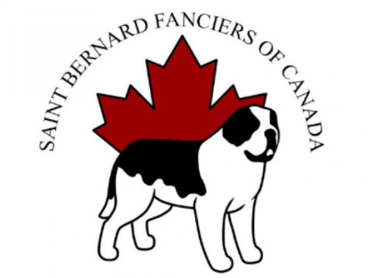 Saint Bernard Fanciers Of Canada - Club De Race Du Saint-bernard