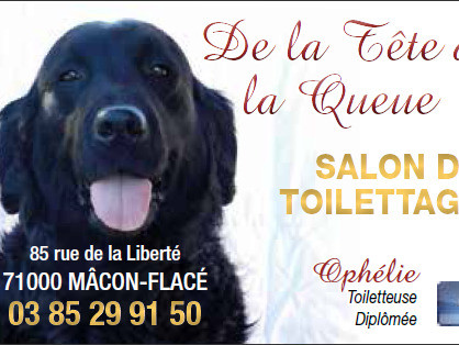De la tête à la queue - Toiletteur canin à Mâcon
