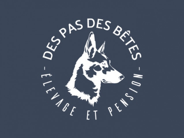 Elevage de berger belge malinois et tervueren Bois Blanc Val