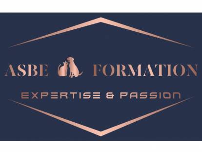 ASBE Formation
