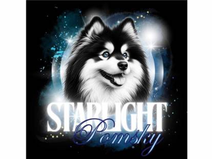 Pomsky Starlight