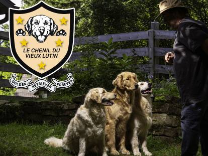 Élevage - Le Chenil du Vieux Lutin