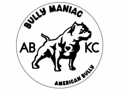 BullyManiac