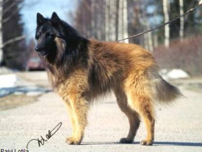 Maski Du Van Lappeenranta