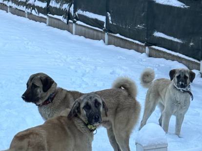 Du Domaine des Deux Collines