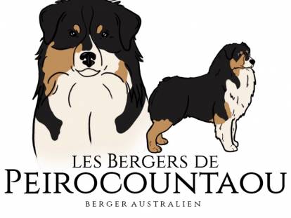 Les Bergers de Peirocountaou