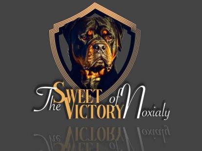 Of the Sweet Victory of Noxialy