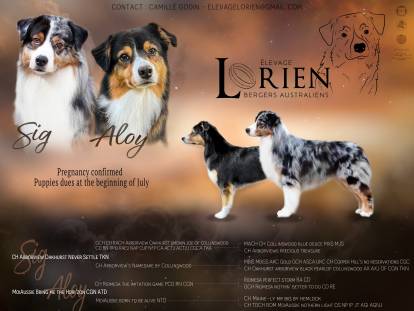Lorien