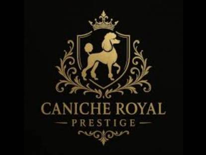 Royal Caniche Prestige