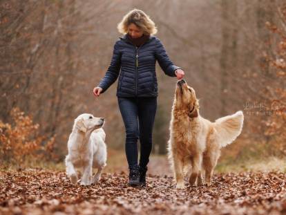 Milu's Charming Star