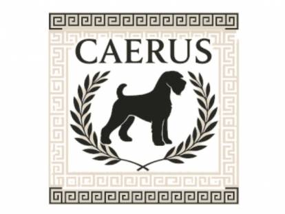 Caerus