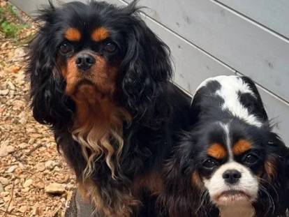 Les Berges du Pont du Diable