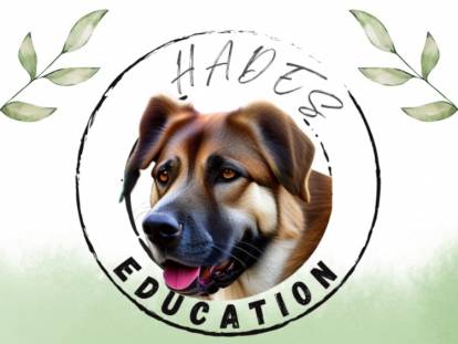 Had&egrave;s Education