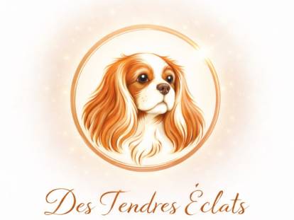 Des Tendres Eclats