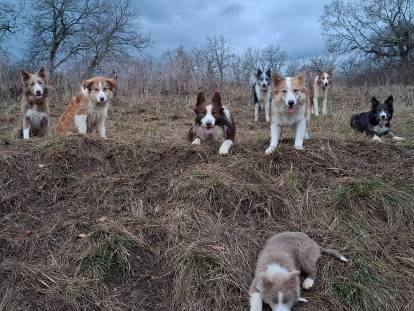 Des Truffes Colorées