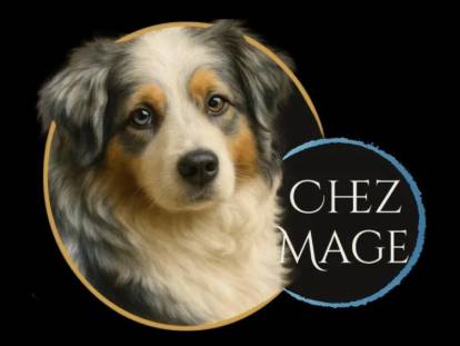 De Chez Mage