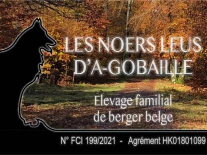 Les Noers Leus D'a-Gobaille