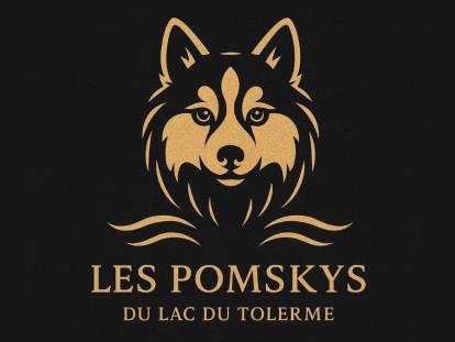 Pomskys du Lac du Tolerme