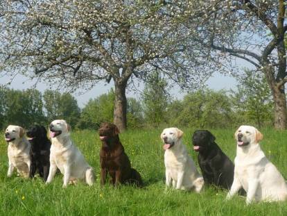 Du vallon de la licorne