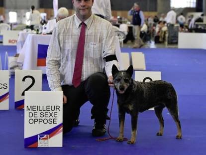 Du Mont de la Nonnenhardt