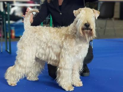 Les Varennes Mystiques