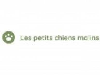 Les petits chiens malins
