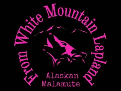 From White Mountain Lapland